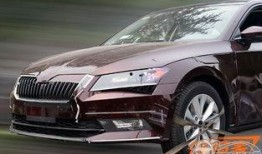 国产速派,匠心独运，引领汽车新风尚