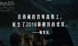 国产三级黄色毛片