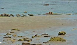 爱情岛国产,探寻异域风情的爱情秘境