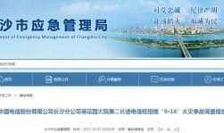 国产a级一级久久毛片,揭秘一级久久毛片背后的故事