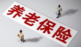 国产a级一级久久毛片,揭秘一级久久毛片背后的故事