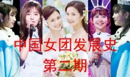 国产门事件,揭秘我国汽车行业质量危机与反思