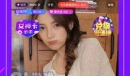 国产视频在线91